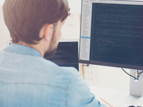 developer
